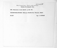 Marasmius rotula image